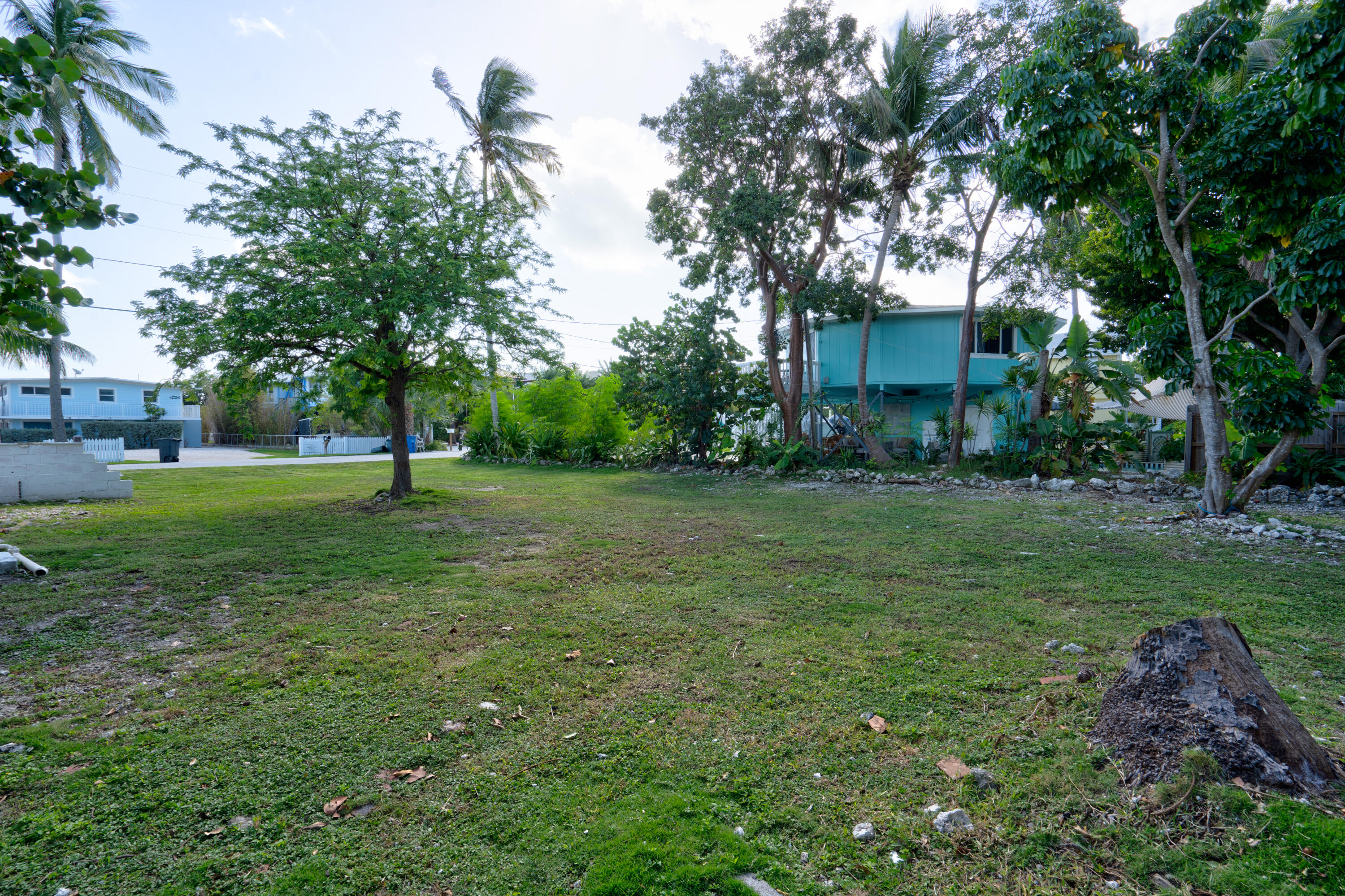 15 Seaside Avenue Key Largo, FL 33037 - Photo 30 of 55 a view of a backyard with large trees
