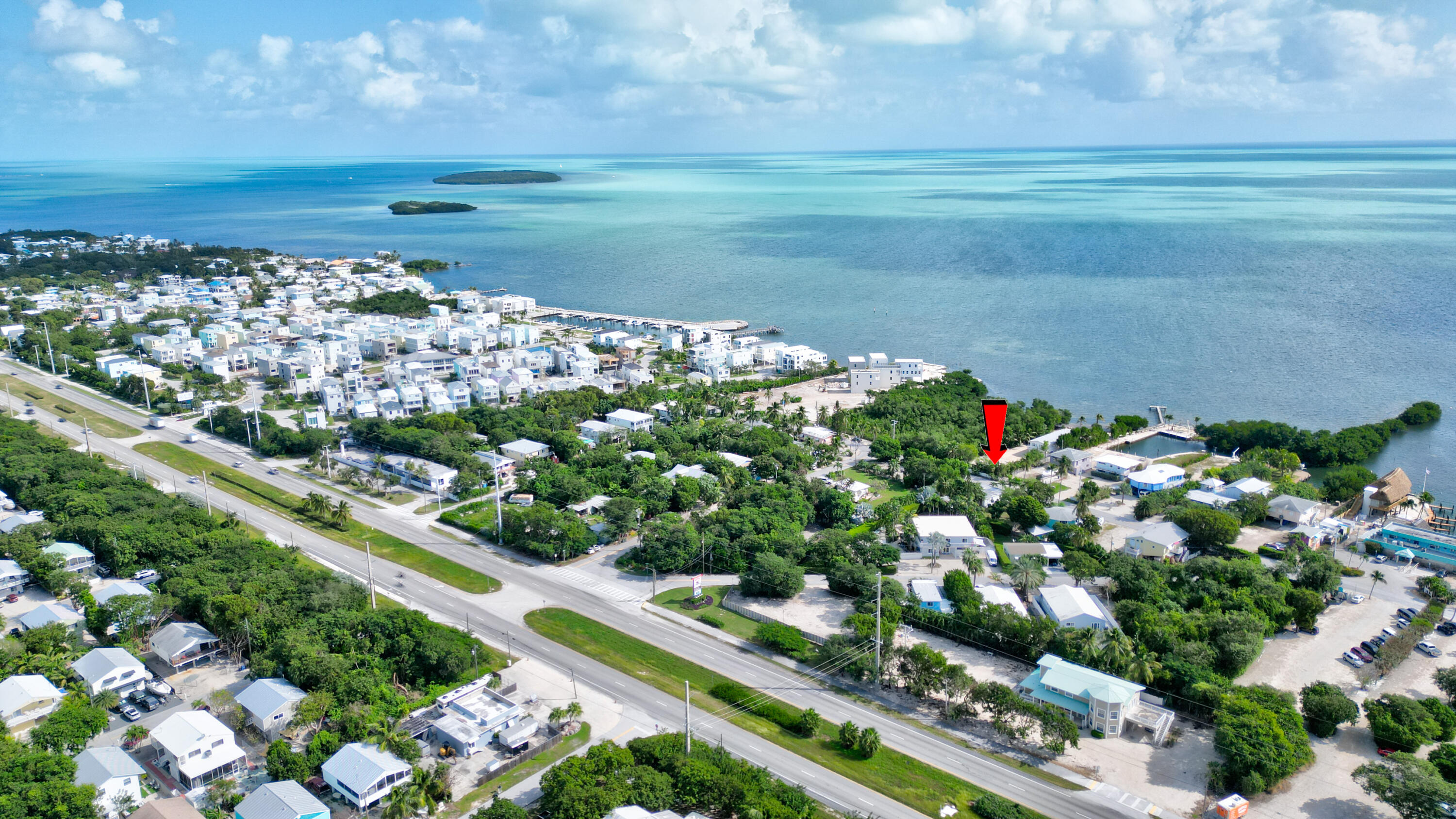 15 Seaside Avenue Key Largo, FL 33037 - Photo 7 of 55 a picture of flowers