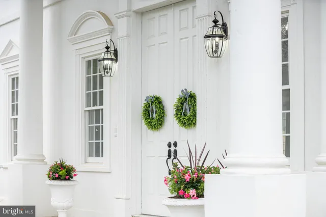 a flower pot with a potted plant on the wall