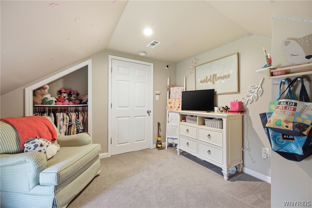 1934 Balmer Road Porter, NY 14131 - Photo 31 of 47