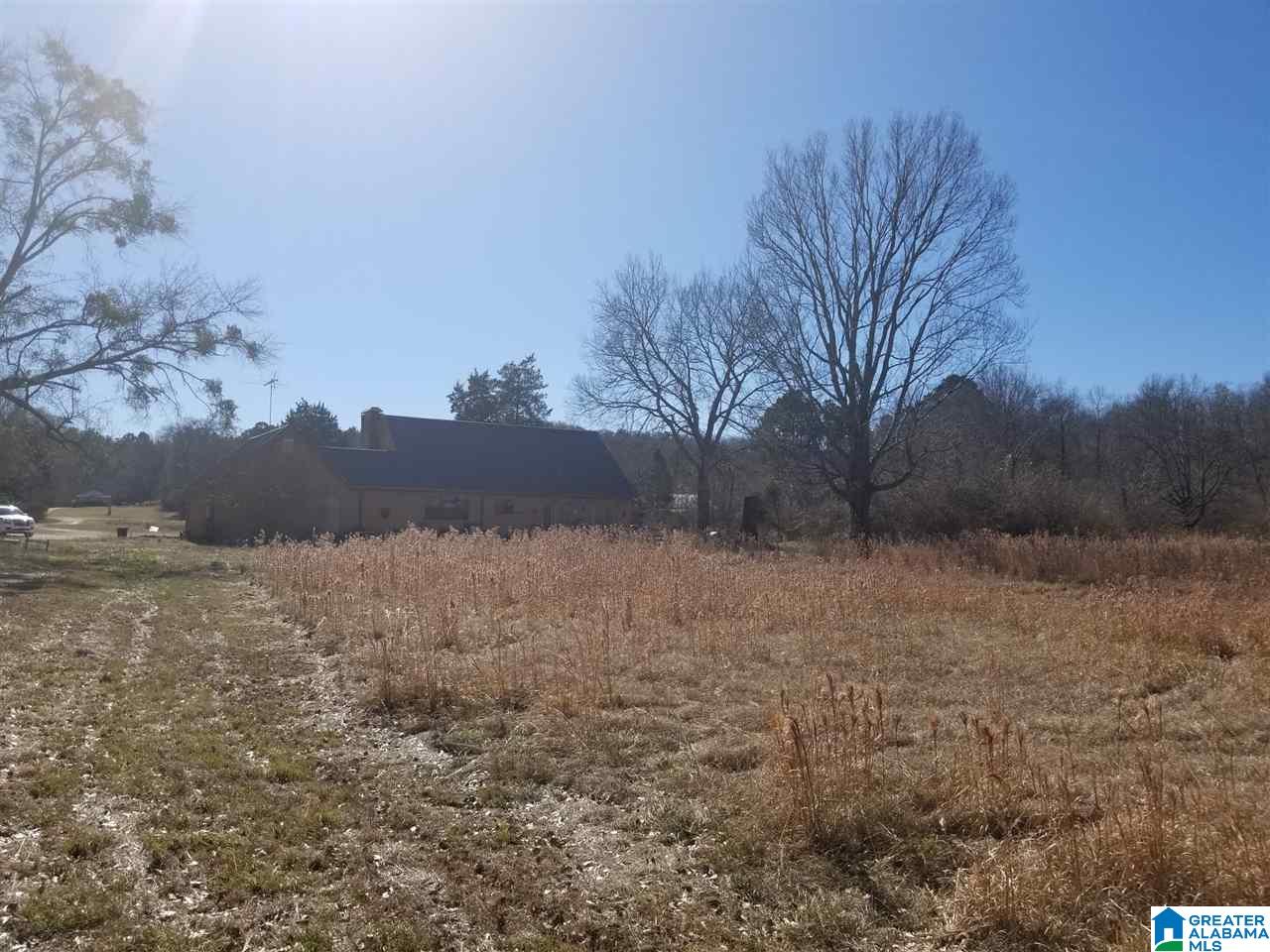 796 Heasletts Road Childersburg, AL 35044 - Photo 9 of 19