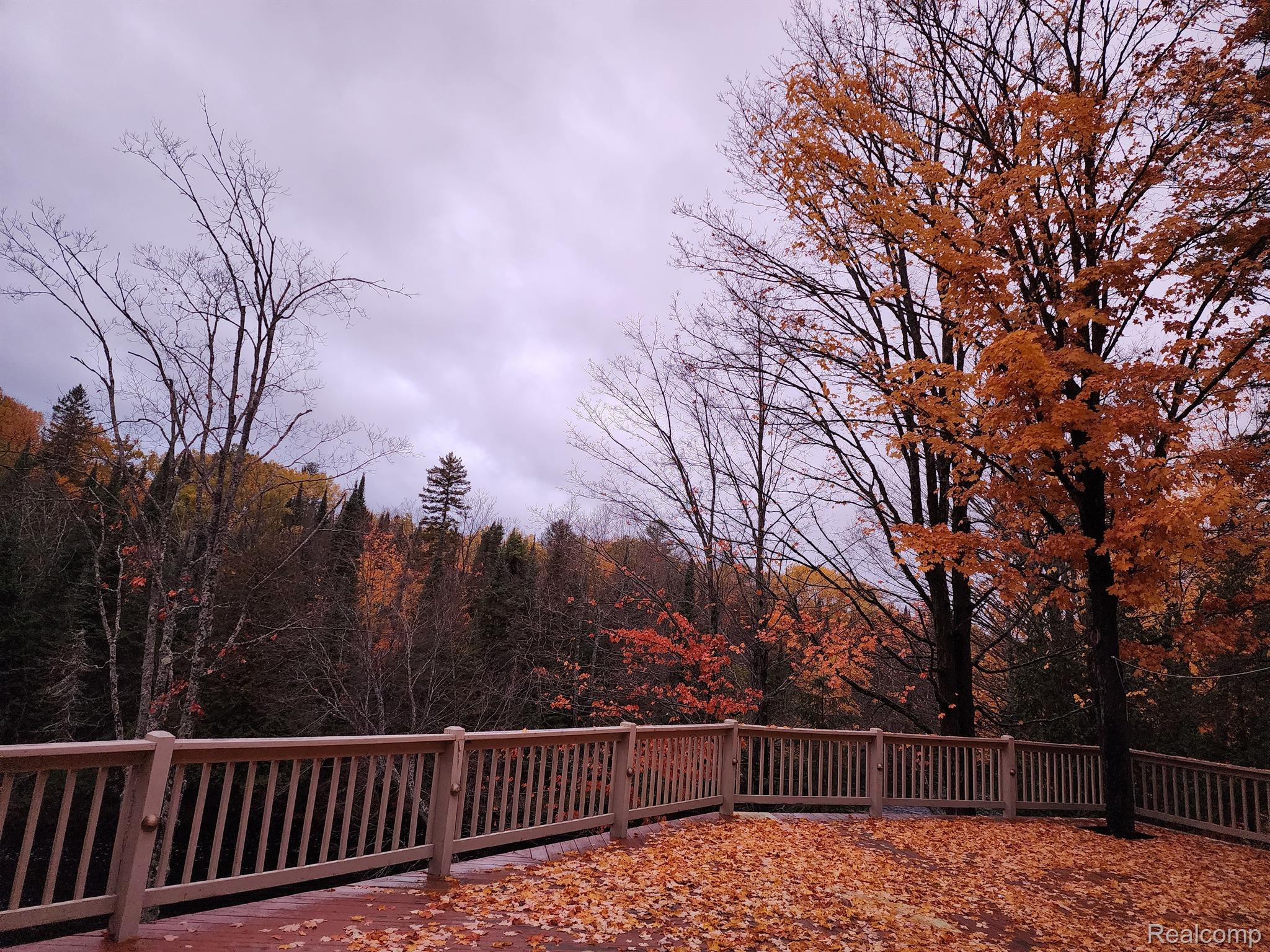 8734 South County Line Road Onaway, MI 49765 - Photo 55 of 56 Fall views
