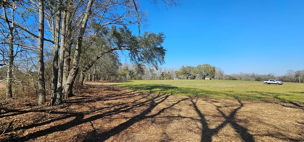 4.9-acres Grady Garner Road Slocomb, AL 36375 - Photo 26 of 70
