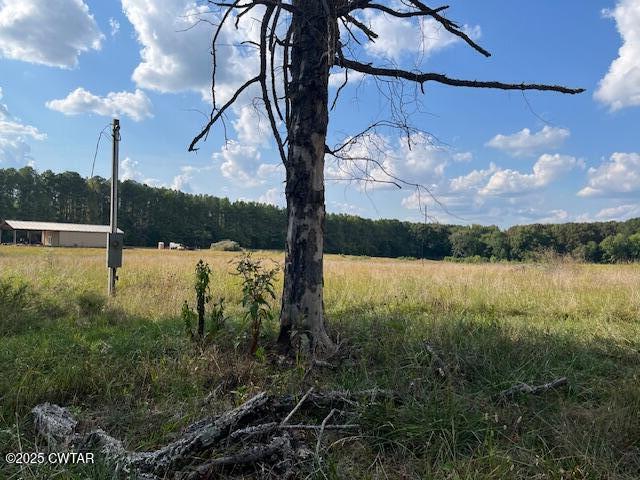 85 Burns Lane Lavinia, TN 38348 - Photo 2 of 2 a view of a lake