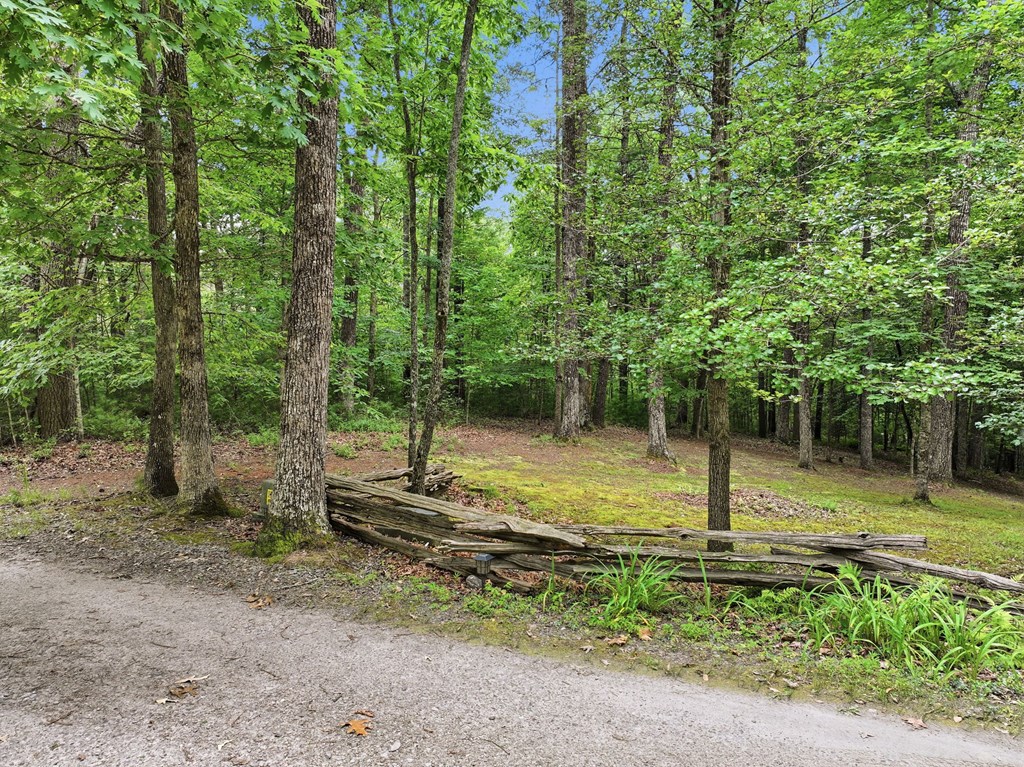 267 Vista Hills Road Murphy, NC 28906 - Photo 12 of 36 Backyard off Deck