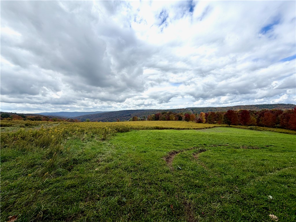 Gallop Hill Road Walton, NY 13856 - Photo 47 of 48 Land on top