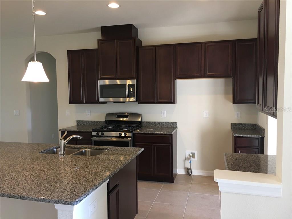 11046 Spring Point Circle Riverview, FL 33579 - Photo 3 of 25 Gallery Image 3