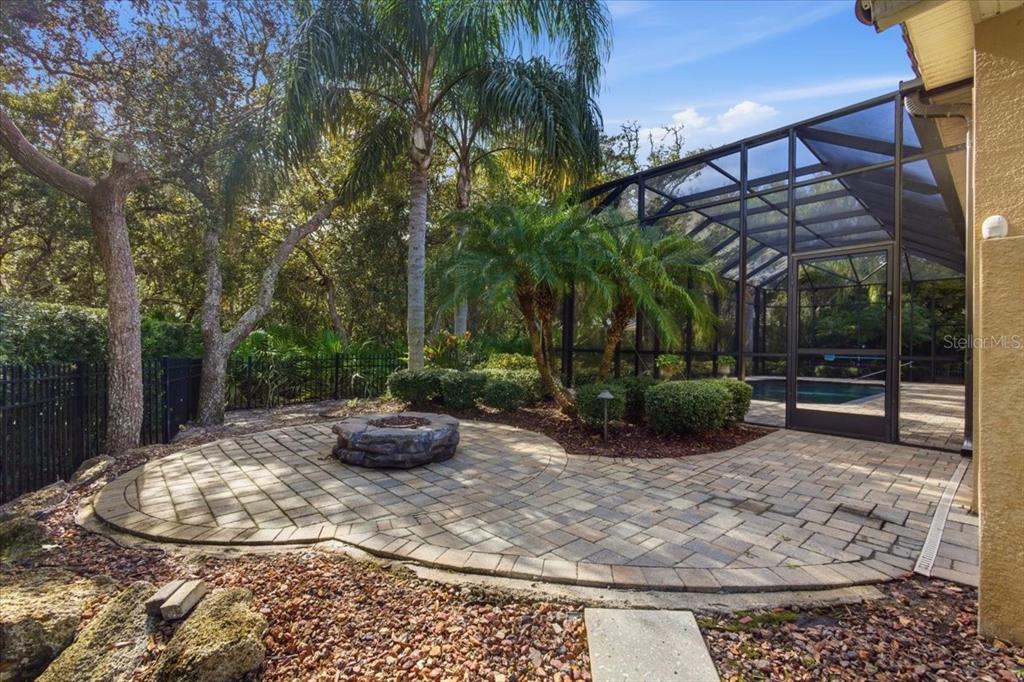 7 Spanish Moss Court Palm Coast, FL 32137 - Photo 58 of 66 a view of a backyard with plants and trees