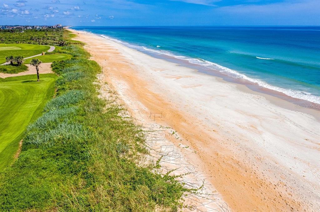 7 Spanish Moss Court Palm Coast, FL 32137 - Photo 65 of 66