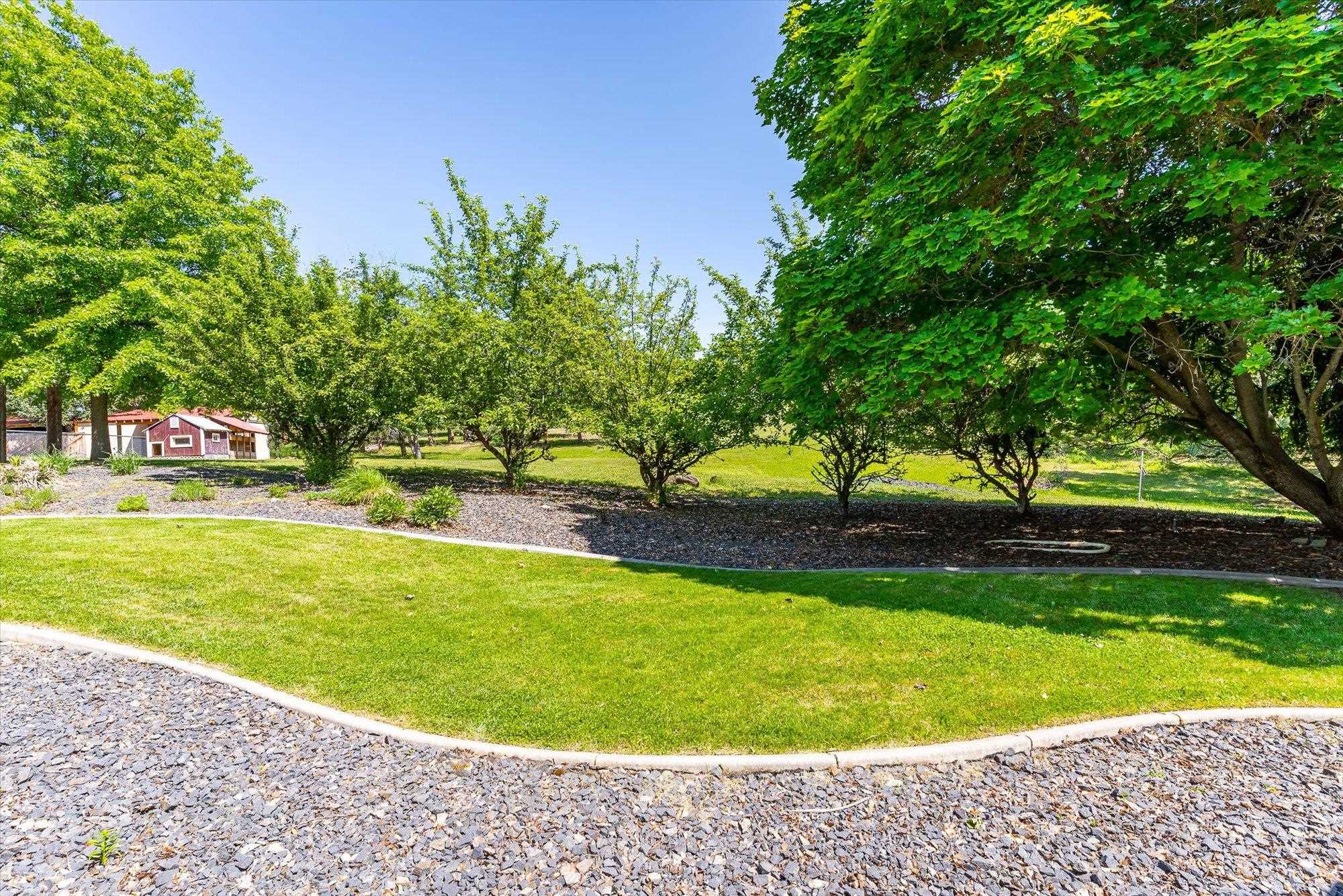 6219 South Chapman Road Greenacres, WA 99016 - Photo 27 of 45