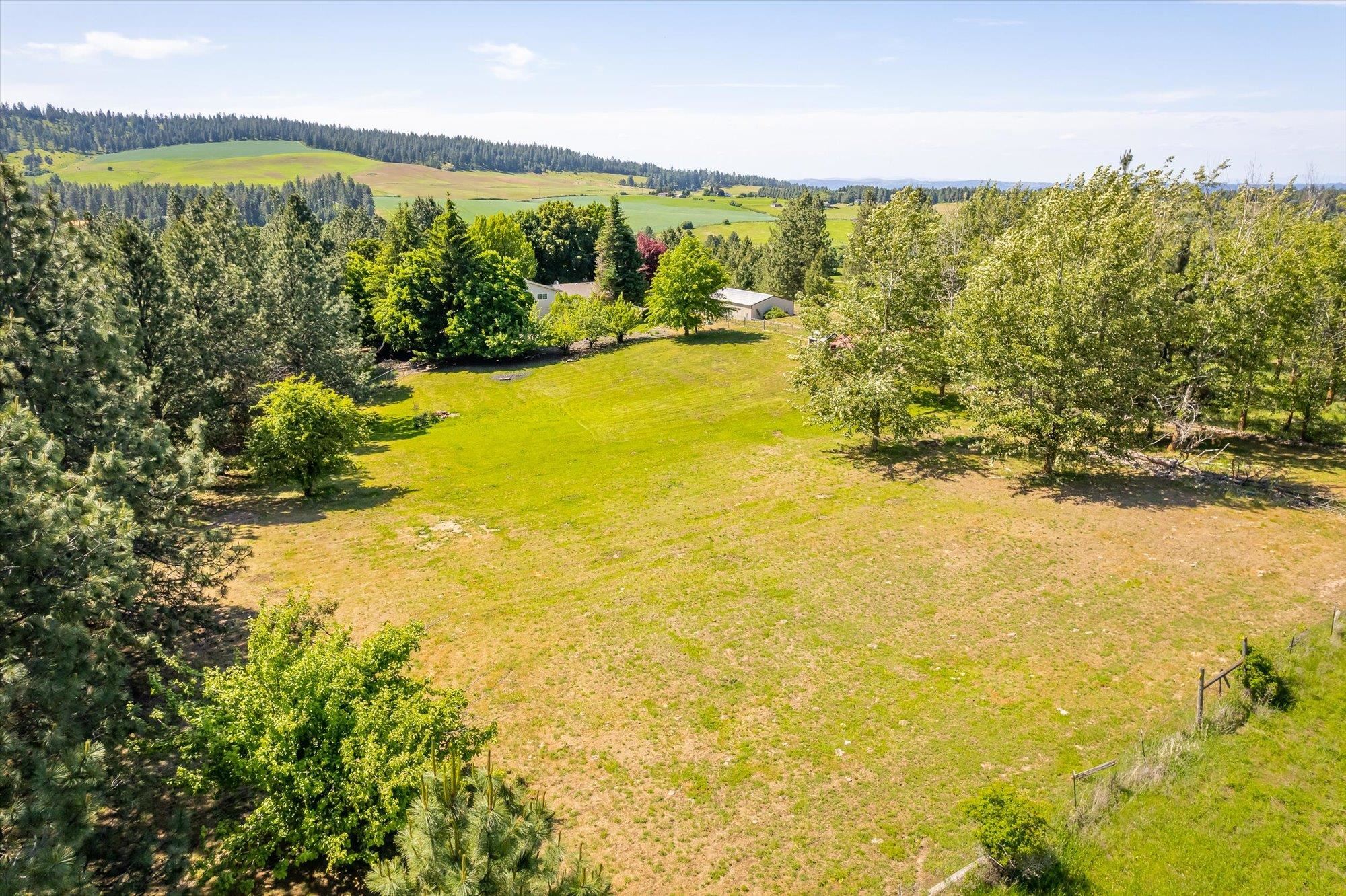 6219 South Chapman Road Greenacres, WA 99016 - Photo 35 of 45