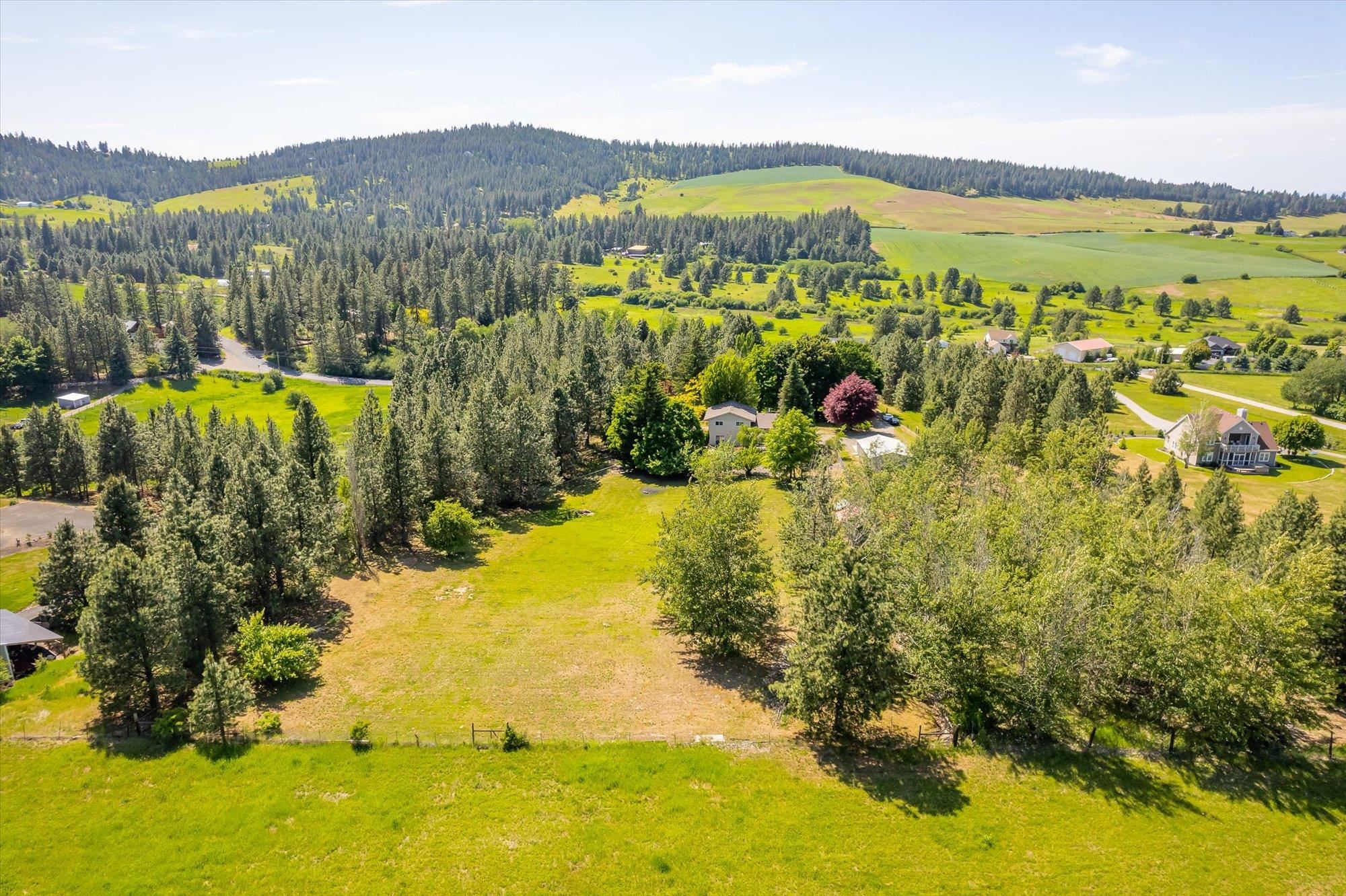 6219 South Chapman Road Greenacres, WA 99016 - Photo 36 of 45