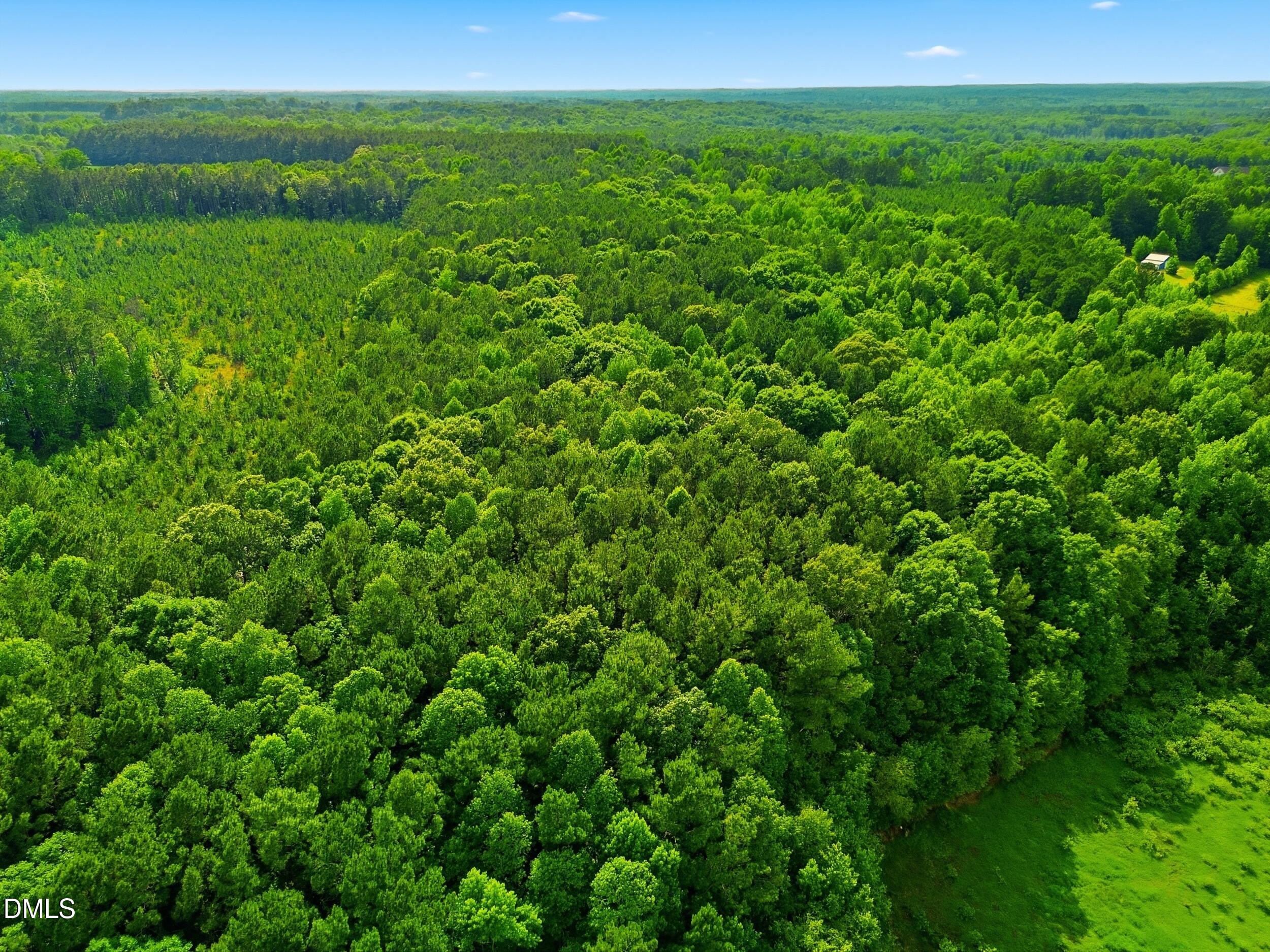 6.48-acres Flower Hill Road Middlesex, NC 27557 - Photo 4 of 9