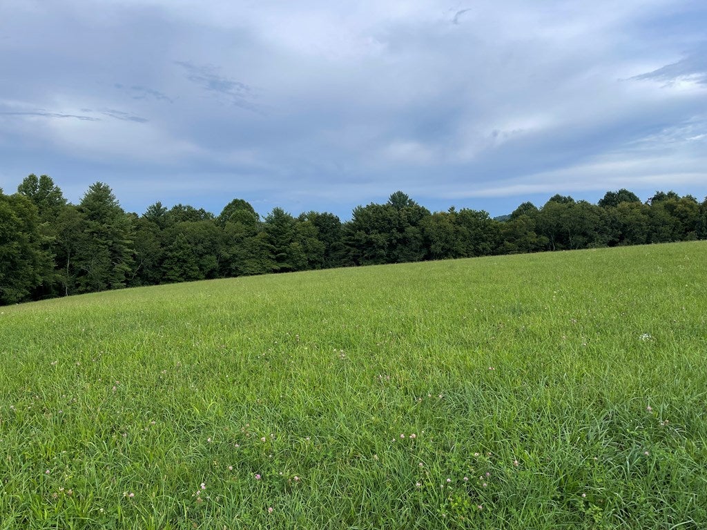 Tbd Kinzer Road, Unit 31F Fancy Gap, VA 24328 - Photo 3 of 10 Gallery Image 3
