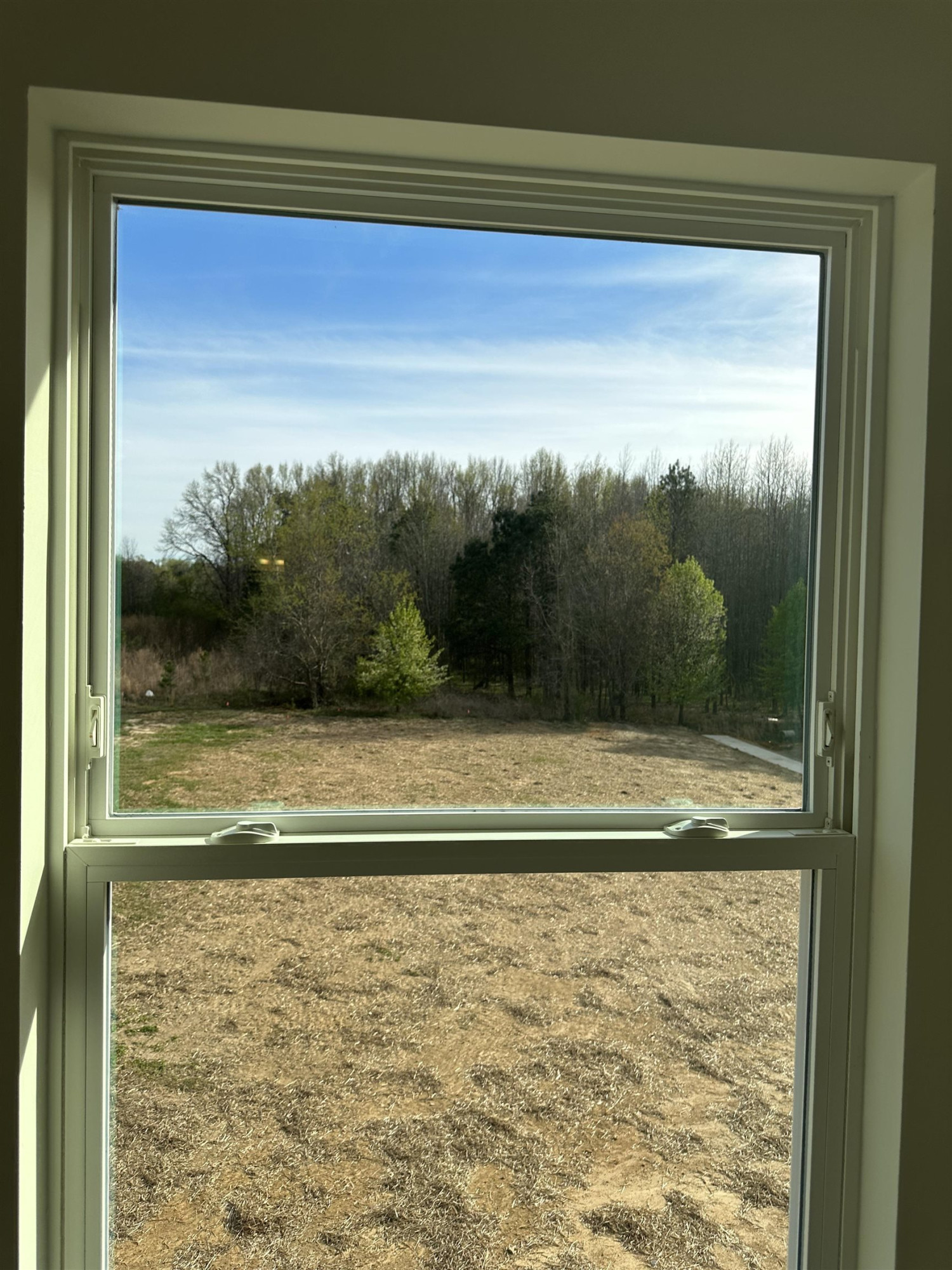 4500 Beckel Road Willow Spring, NC 27592 - Photo 19 of 27 Nice wooded views from back of master bedroom Master bedroom