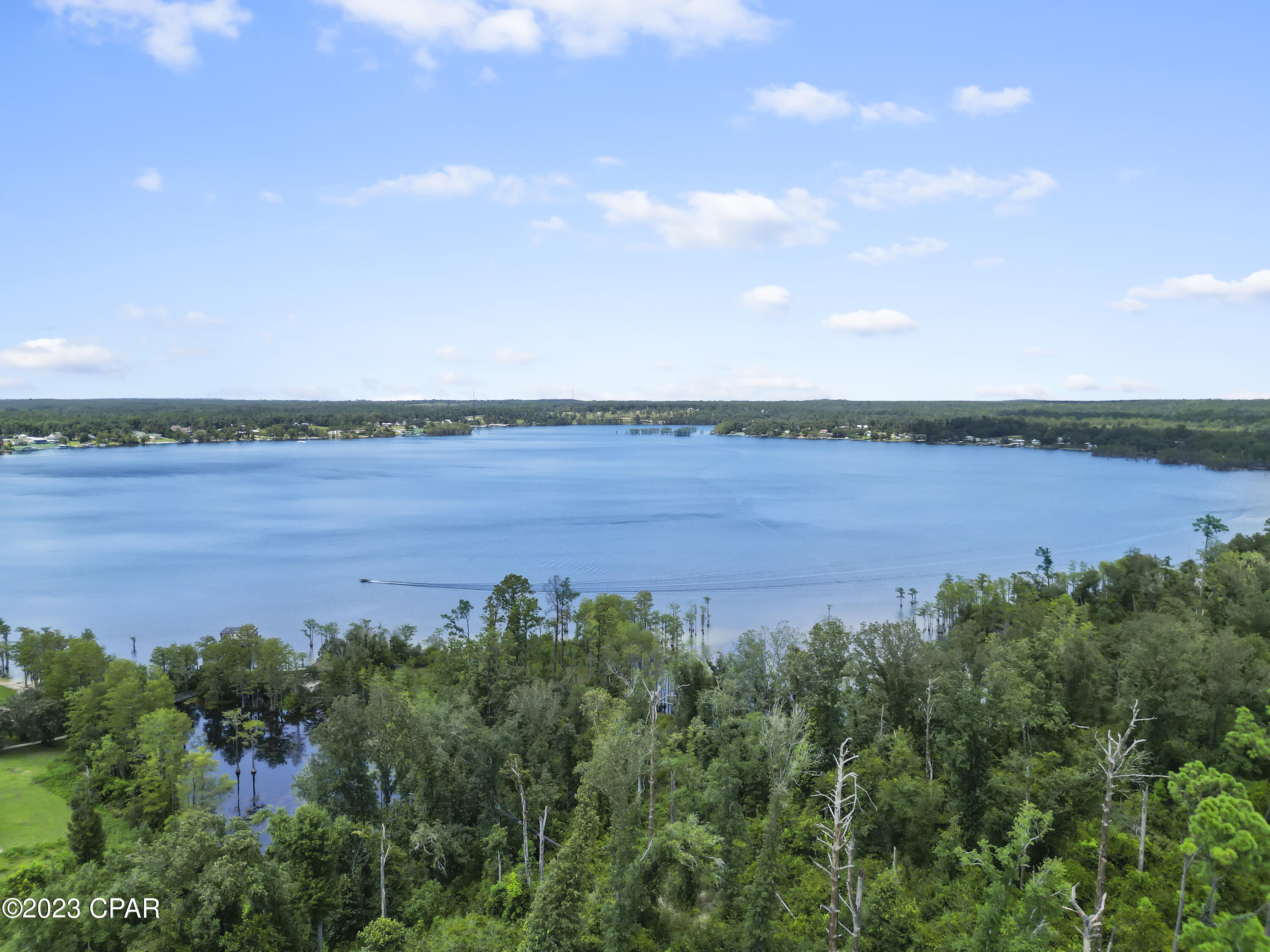 207 Compass Lake Drive Alford, FL 32420 - Photo 3 of 24