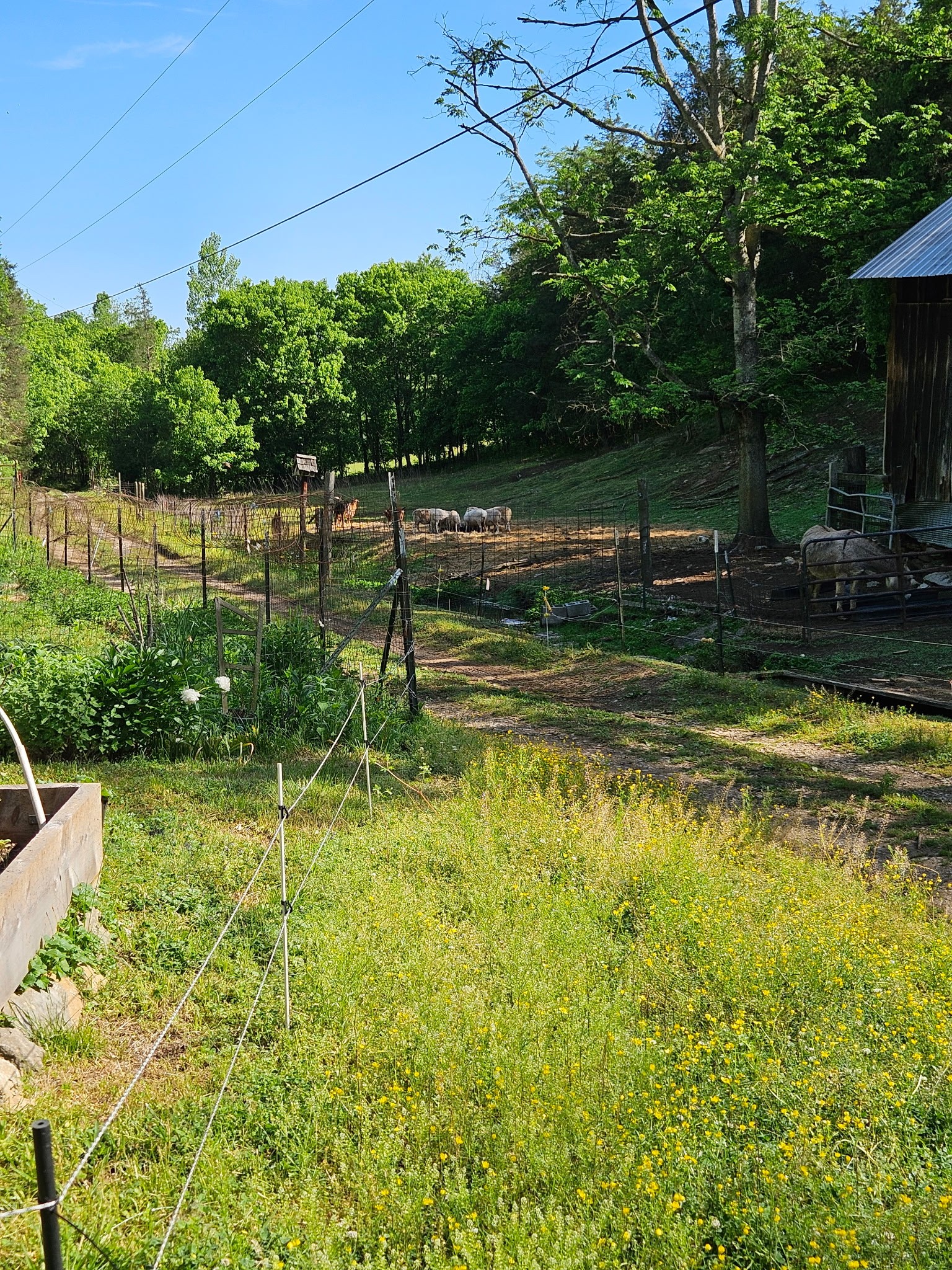 34 Friendship Hollow Road Pleasant Shade, TN 37145 - Photo 16 of 40 Gallery Image 16