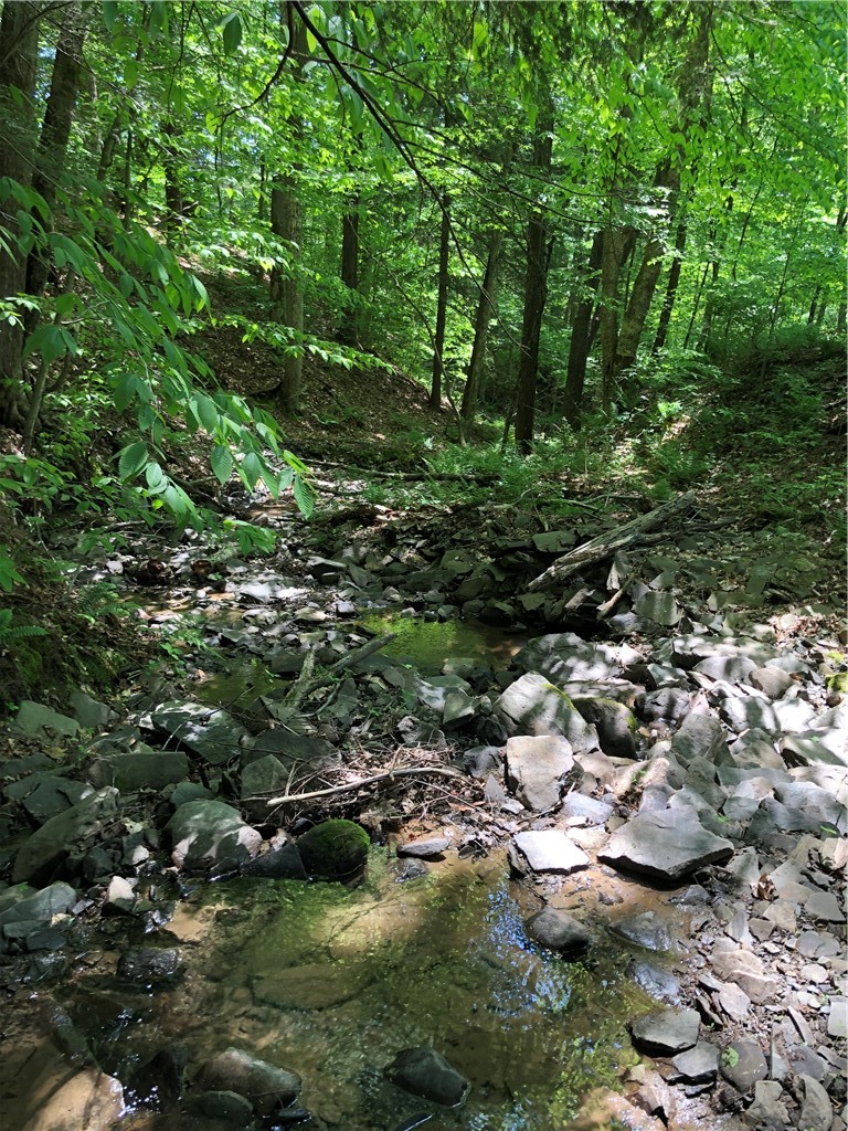 Dingman Hill Road Bainbridge, NY 13733 - Photo 2 of 21
