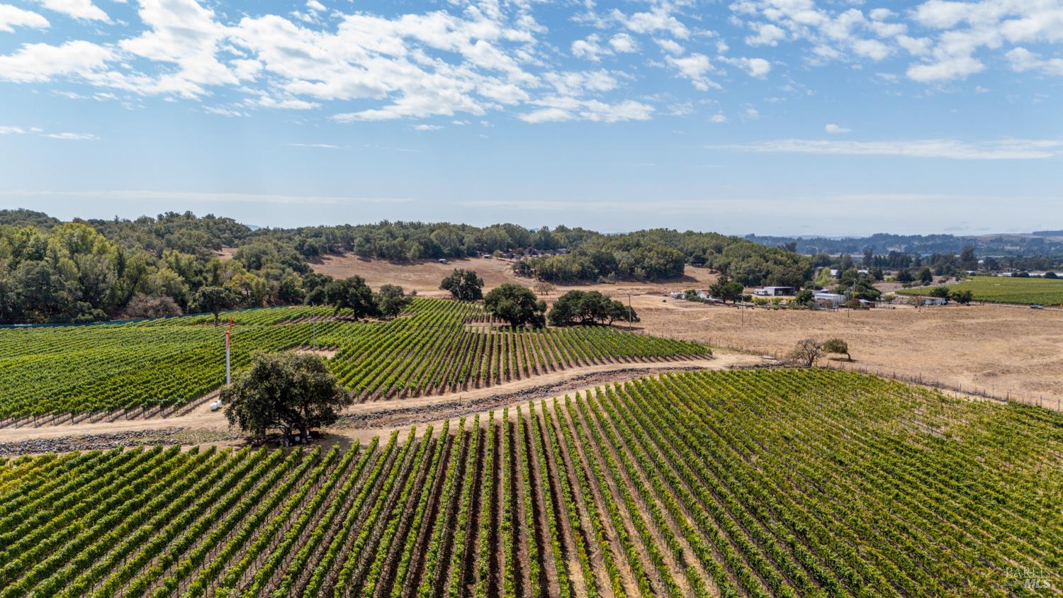3340 Lichau Road Penngrove, CA 94951 - Photo 11 of 24 a view of a swimming pool and a yard
