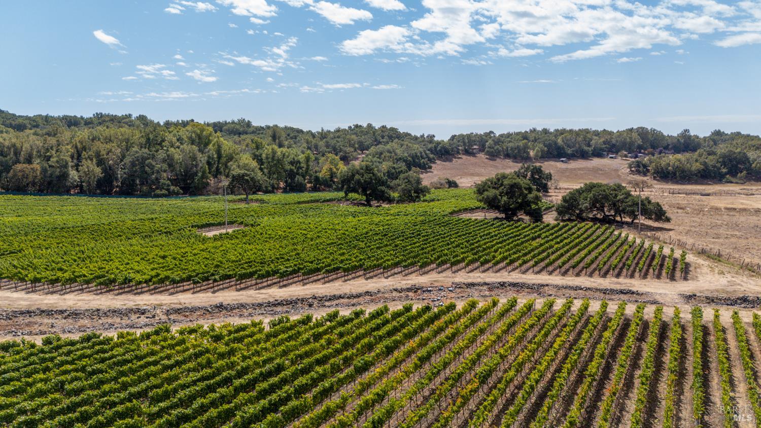 3340 Lichau Road Penngrove, CA 94951 - Photo 12 of 24 a view of a pathway with a yard