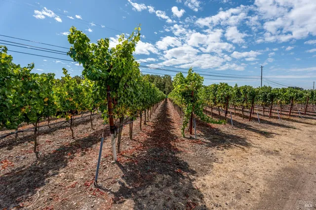 a view of a road with a yard