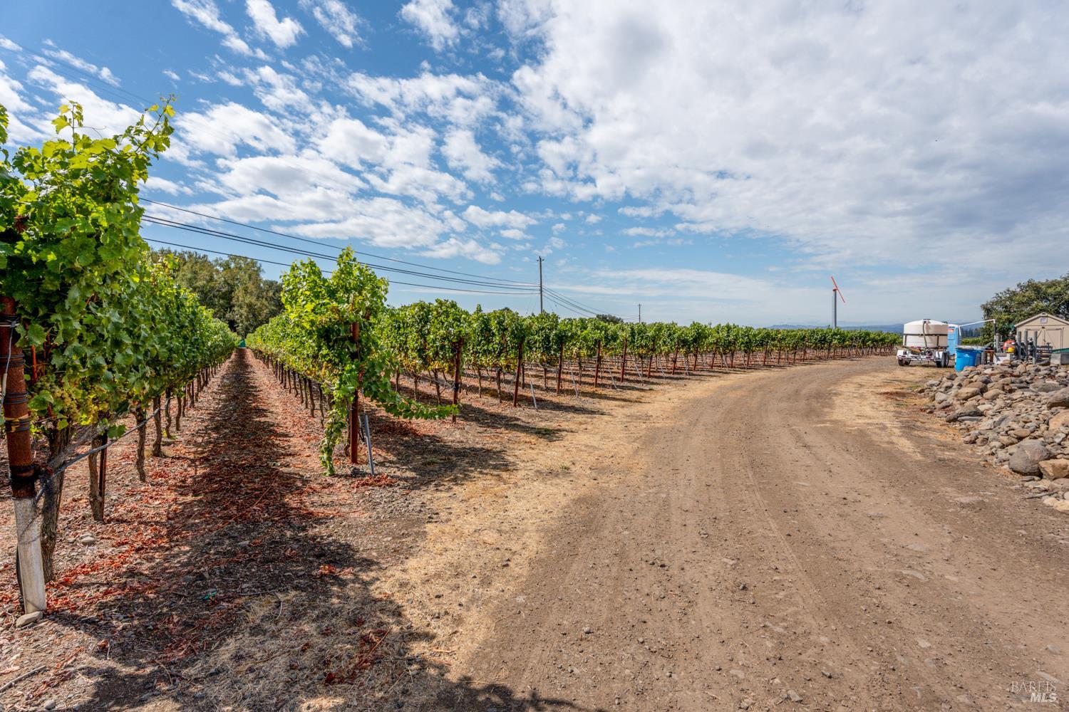3340 Lichau Road Penngrove, CA 94951 - Photo 15 of 24 a view of a road with a yard