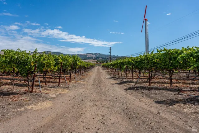 a view of a lake with lots of trees