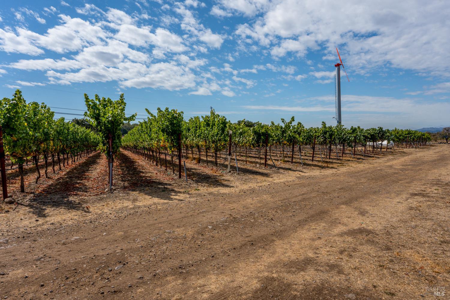 3340 Lichau Road Penngrove, CA 94951 - Photo 18 of 24 a view of a street