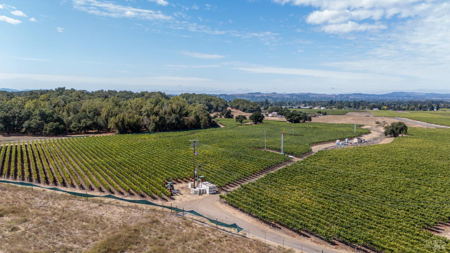 3340 Lichau Road Penngrove, CA 94951 - Photo 3 of 24 a view of a grassy area