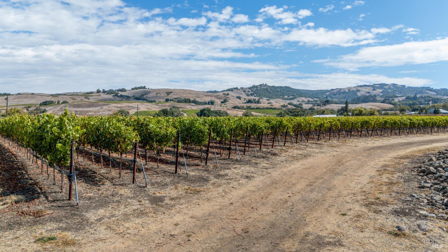 3340 Lichau Road Penngrove, CA 94951 - Photo 8 of 24 a view of a lake with a mountain in the background