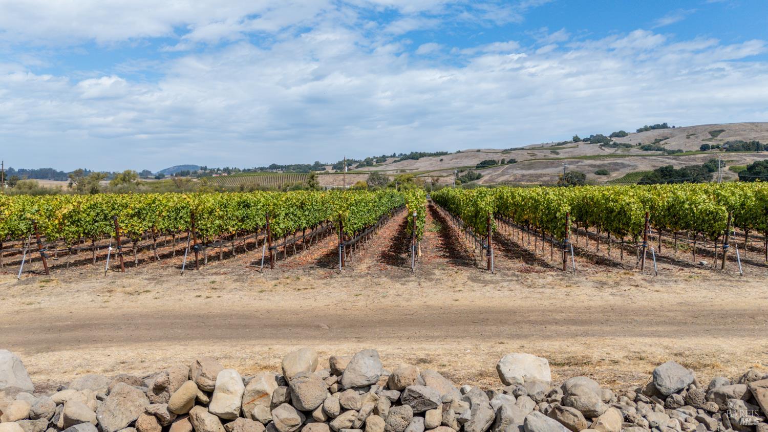 3340 Lichau Road Penngrove, CA 94951 - Photo 10 of 24 a view of a lake with a beach