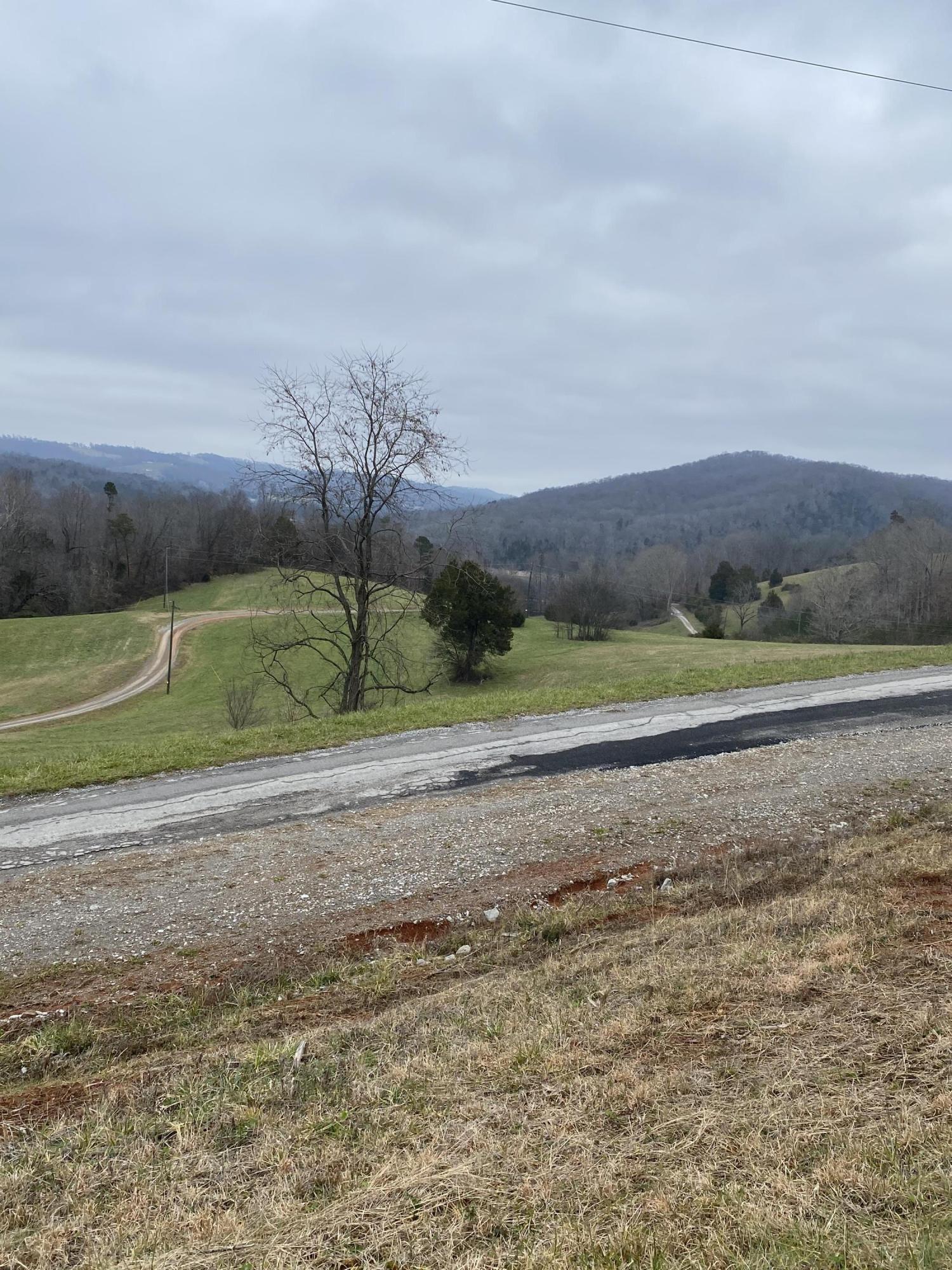 Bob Wright Road Maynardville, TN 37807 - Photo 11 of 15 IMG_1232