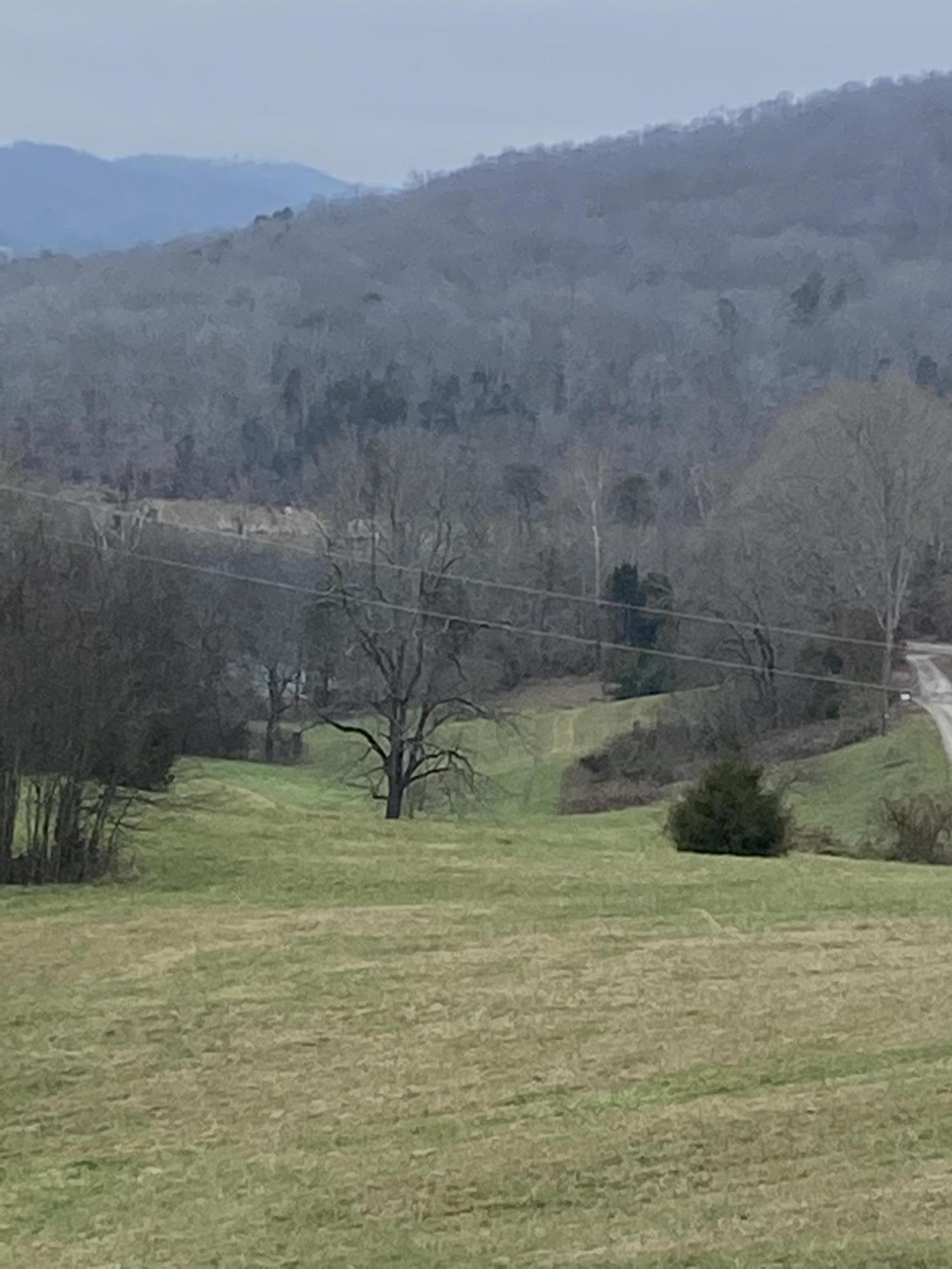 Bob Wright Road Maynardville, TN 37807 - Photo 13 of 15 IMG_1237 (1)