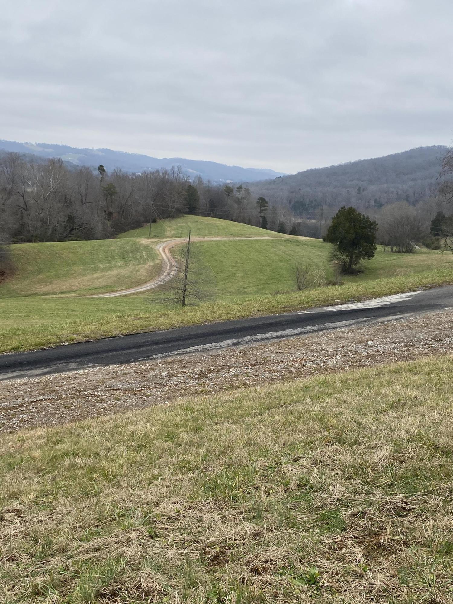 Bob Wright Road Maynardville, TN 37807 - Photo 15 of 15 IMG_1229 (2)