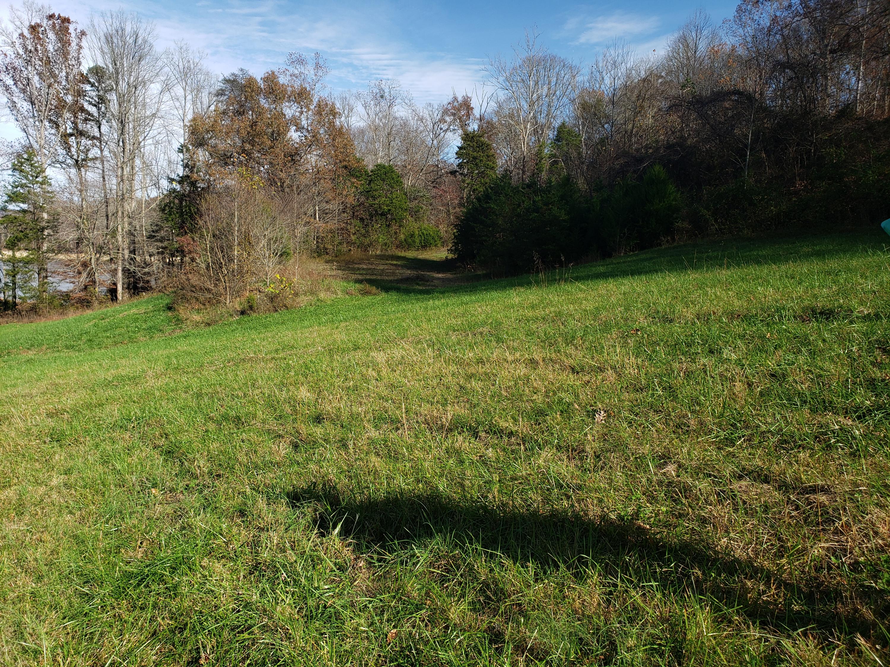 Bob Wright Road Maynardville, TN 37807 - Photo 3 of 15 20201114_134041