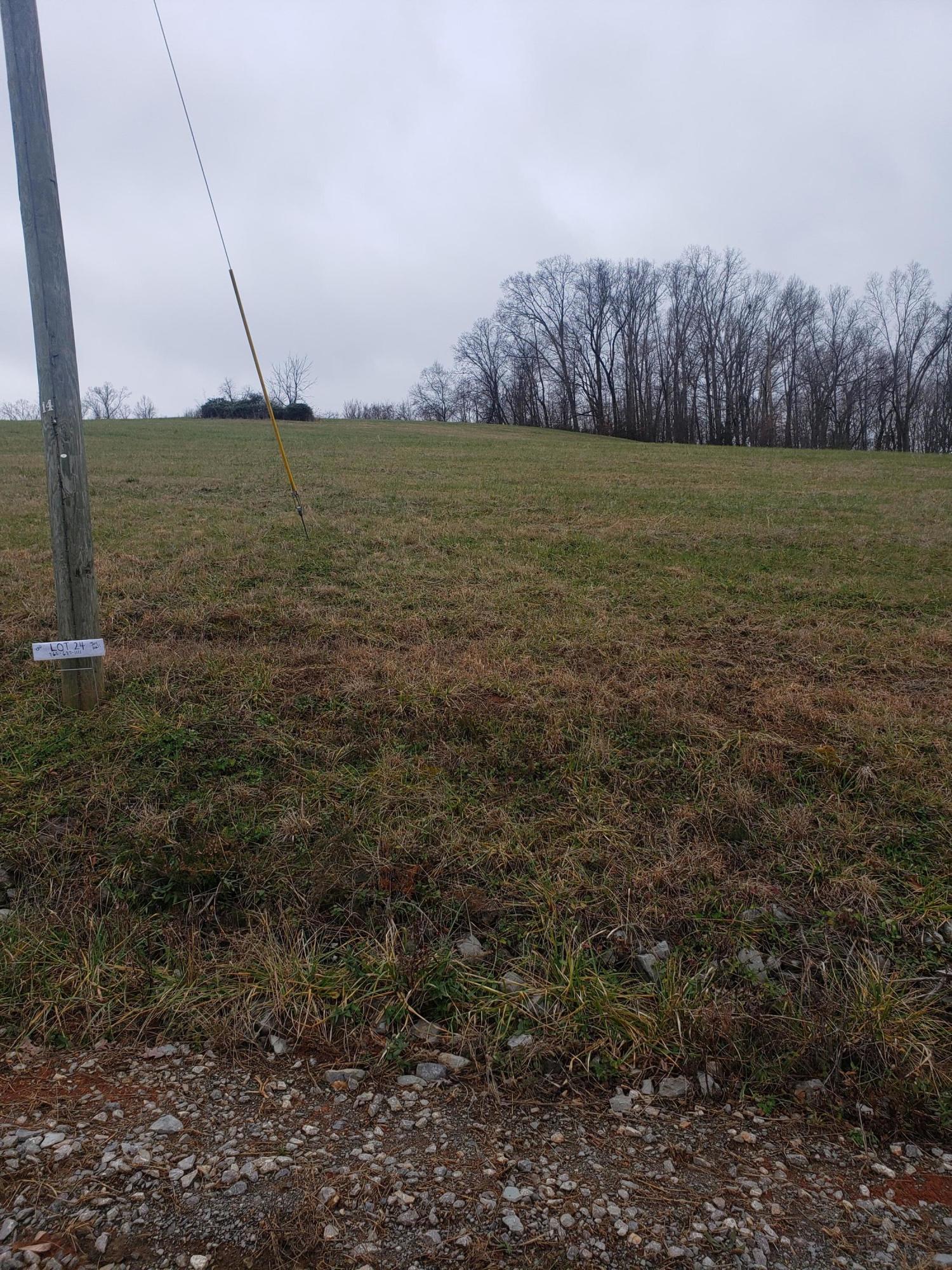 Bob Wright Road Maynardville, TN 37807 - Photo 4 of 15 20201220_143632