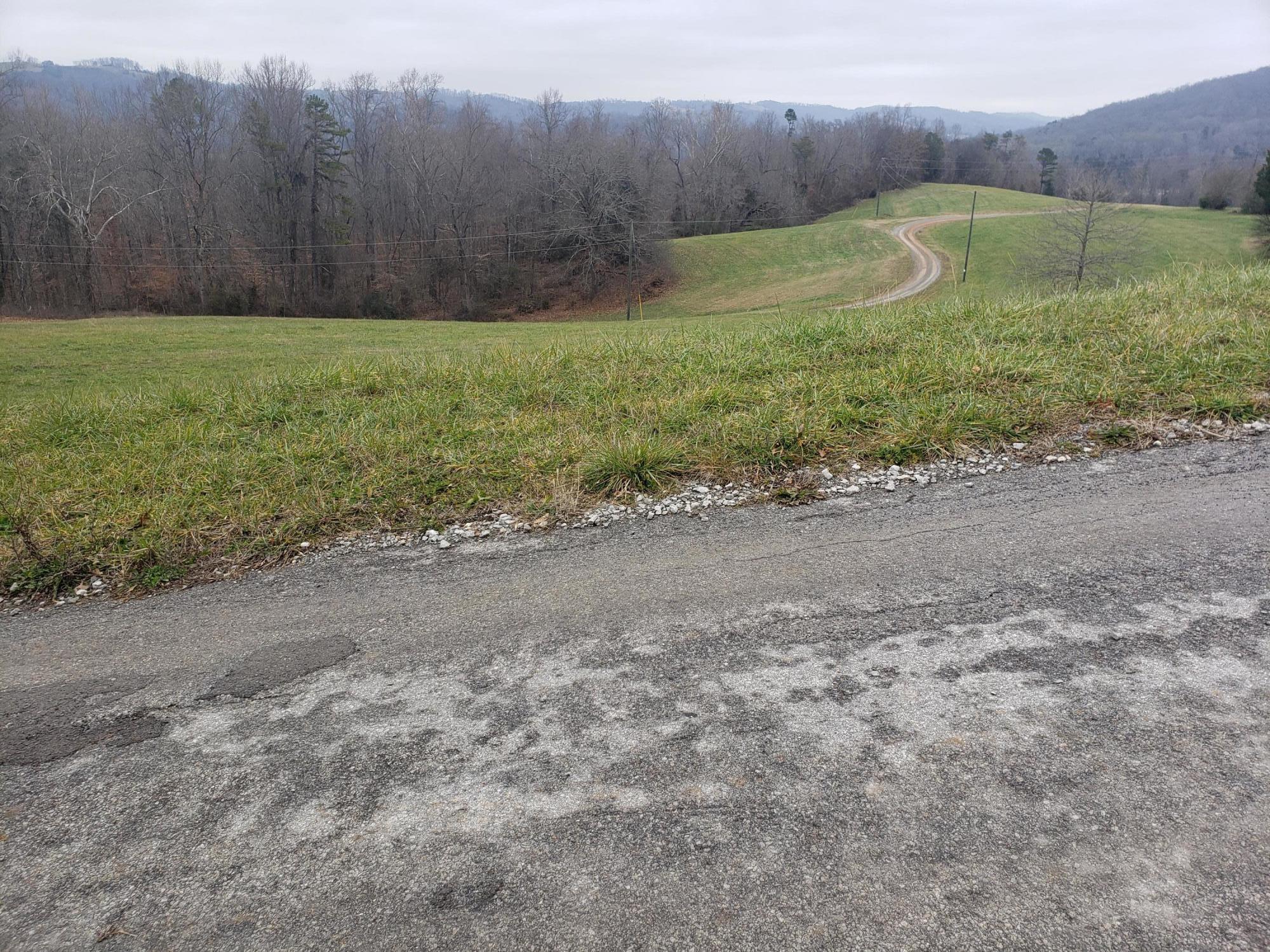 Bob Wright Road Maynardville, TN 37807 - Photo 5 of 15 20201220_143658