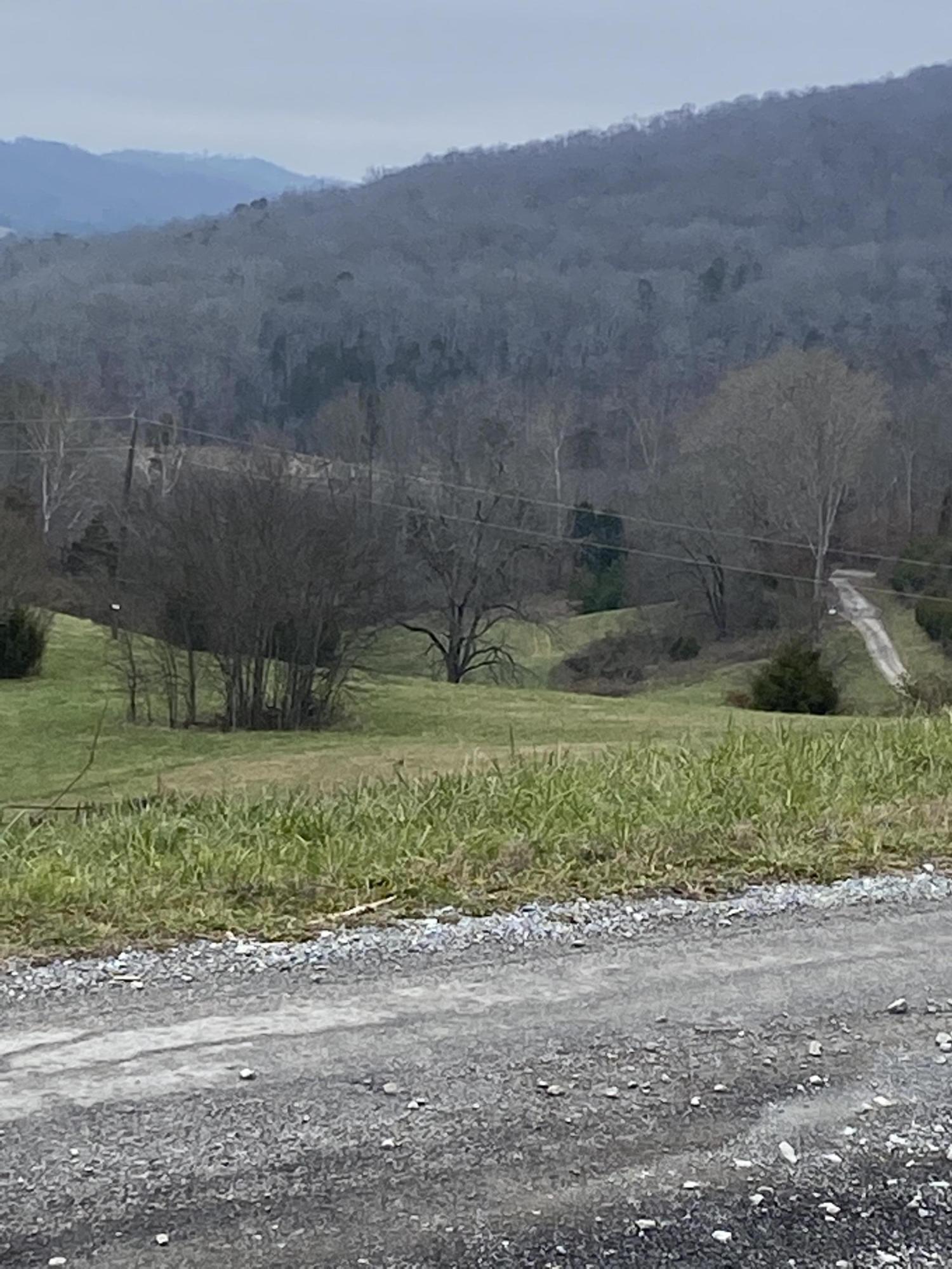 Bob Wright Road Maynardville, TN 37807 - Photo 6 of 15 IMG_1234 (1)