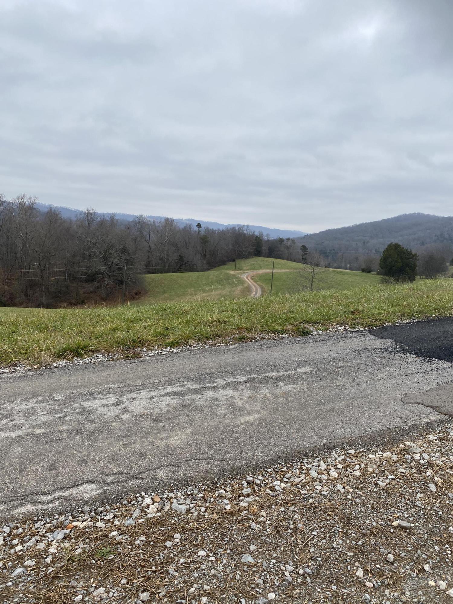 Bob Wright Road Maynardville, TN 37807 - Photo 9 of 15 IMG_1227 (1)