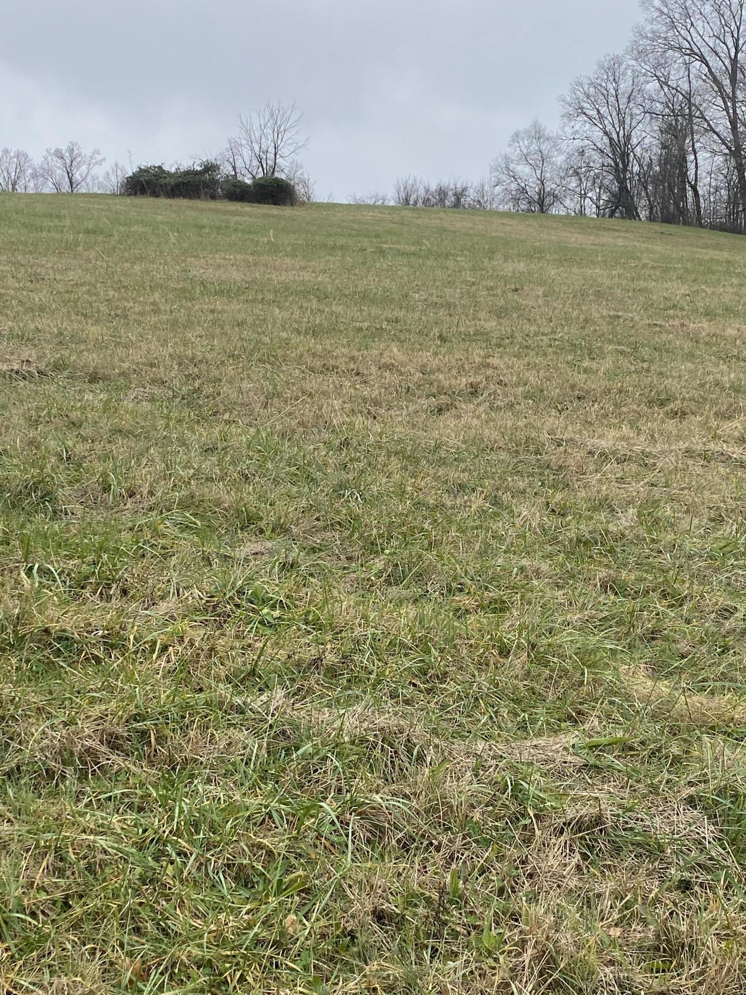 Bob Wright Road Maynardville, TN 37807 - Photo 10 of 15 IMG_1228