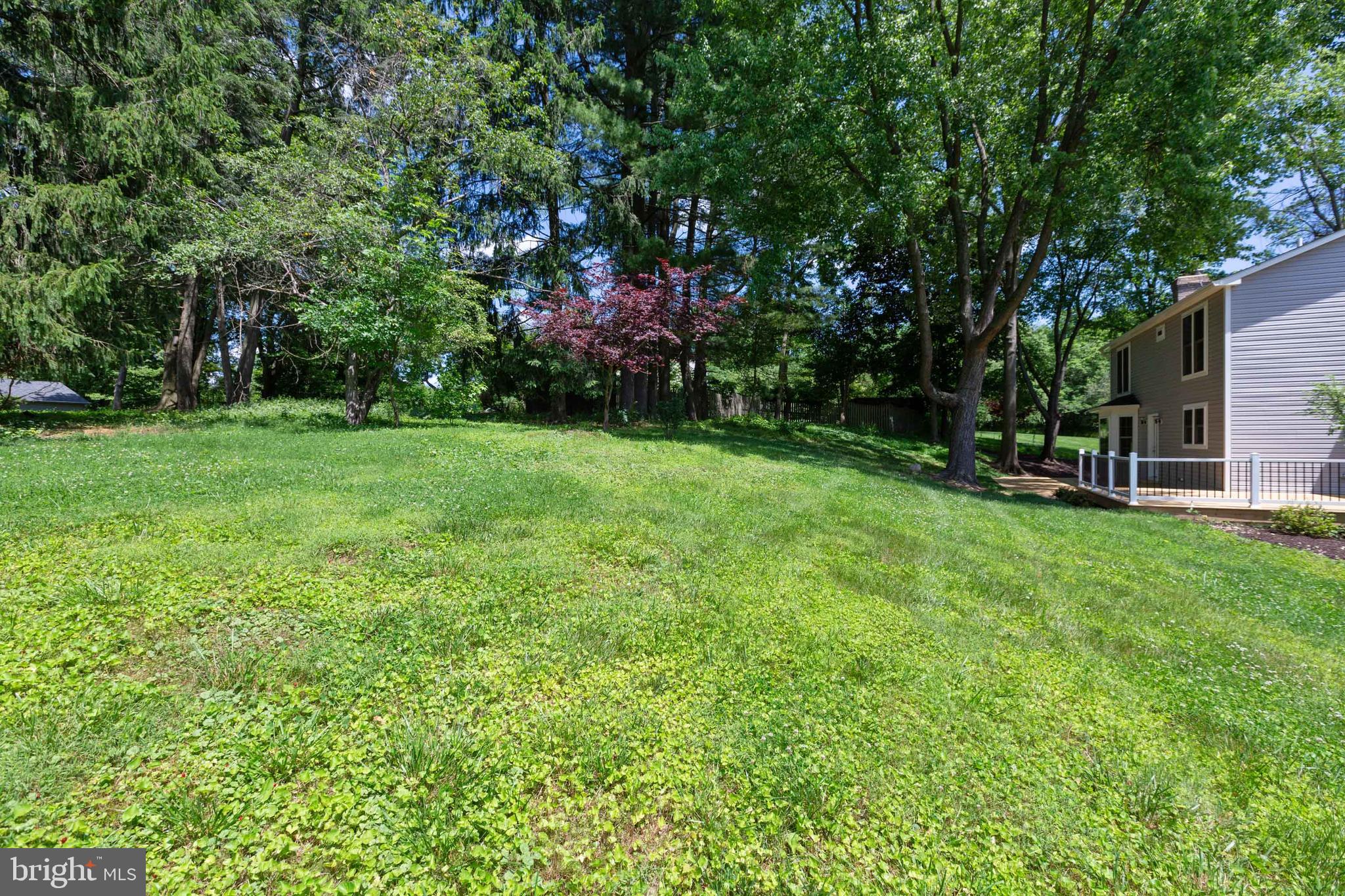 10 Narrows Court Silver Spring, MD 20906 - Photo 45 of 46 Gallery Image 45