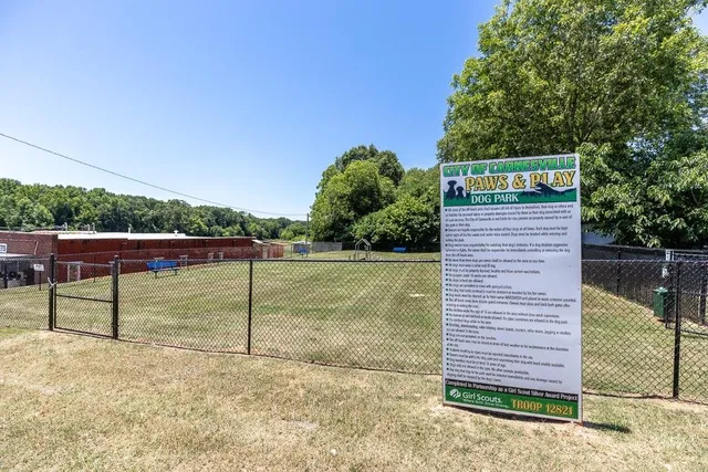 a view of a park that has large trees