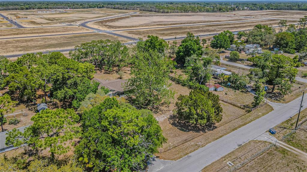 17851 Oxenham Avenue Spring Hill, FL 34610 - Photo 7 of 31 a view of a garden