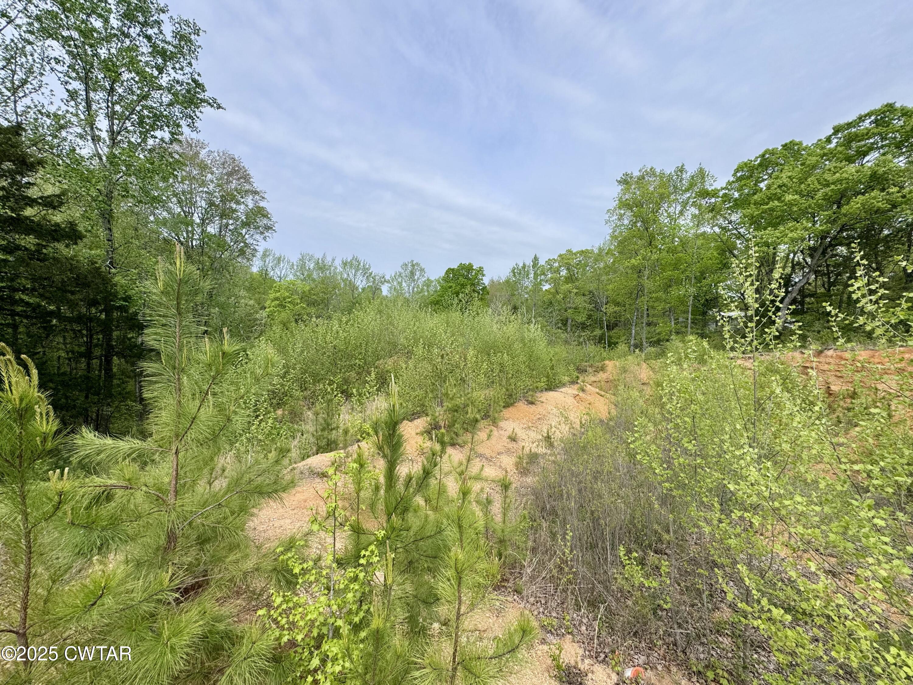 0 Pickwick Road Savannah, TN 38372 - Photo 11 of 15 a view of a yard