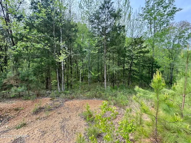 a view of backyard with green space