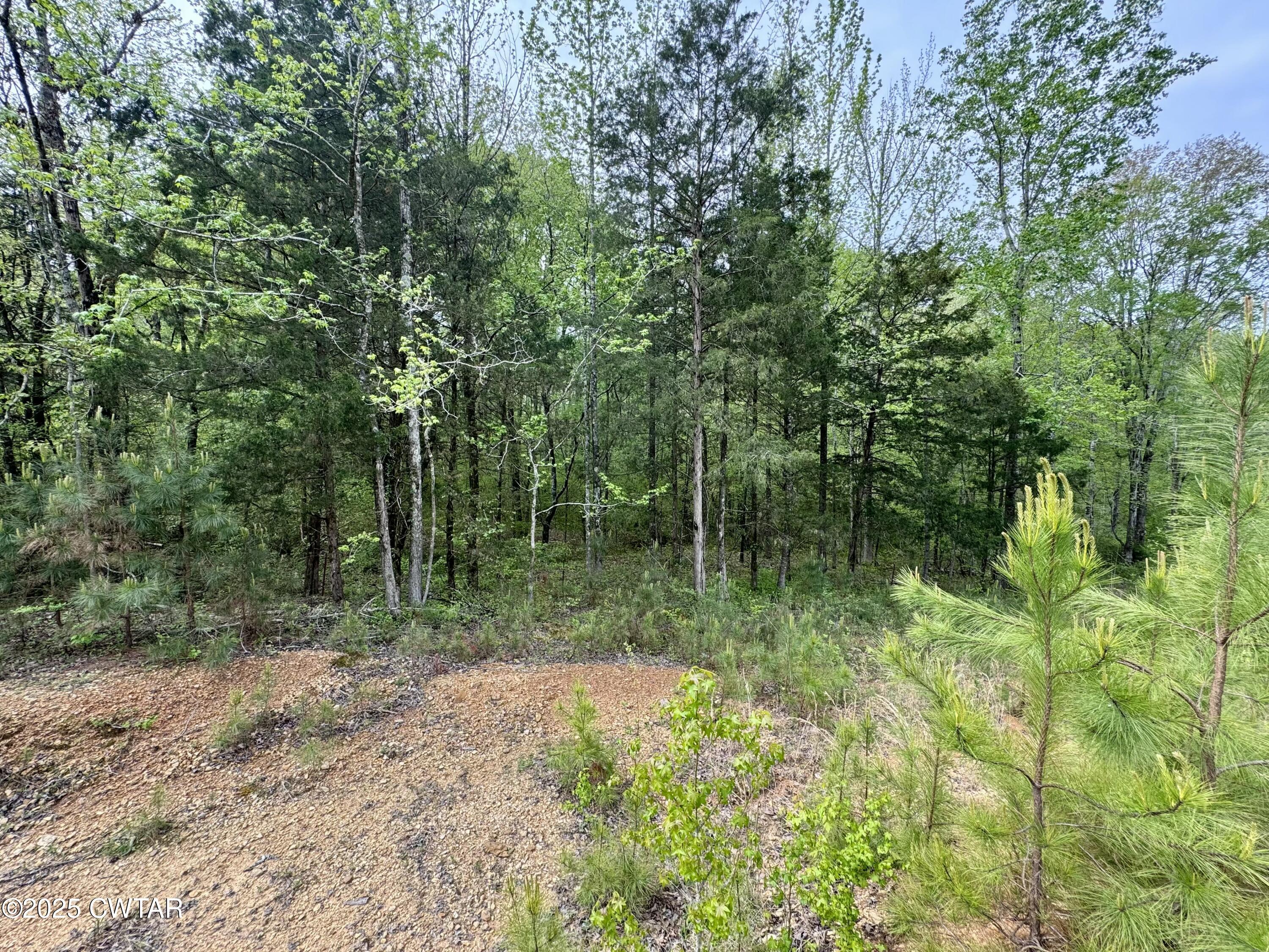 0 Pickwick Road Savannah, TN 38372 - Photo 12 of 15 a view of backyard with green space