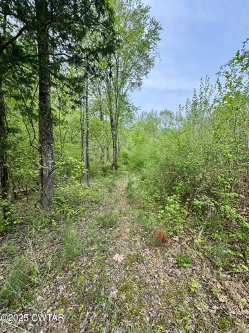a big yard with lots of green space