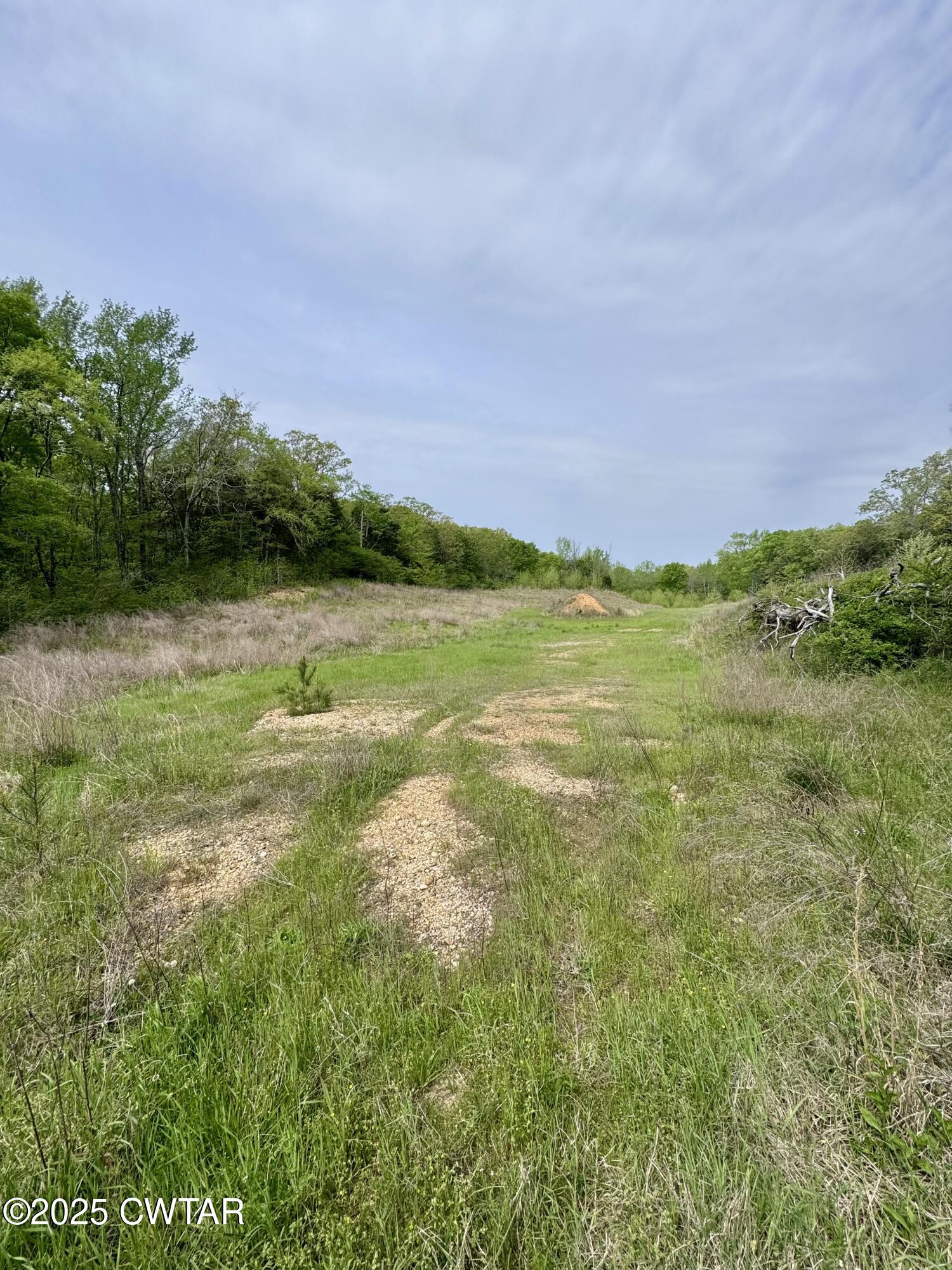 0 Pickwick Road Savannah, TN 38372 - Photo 4 of 15 a view of an ocean and beach