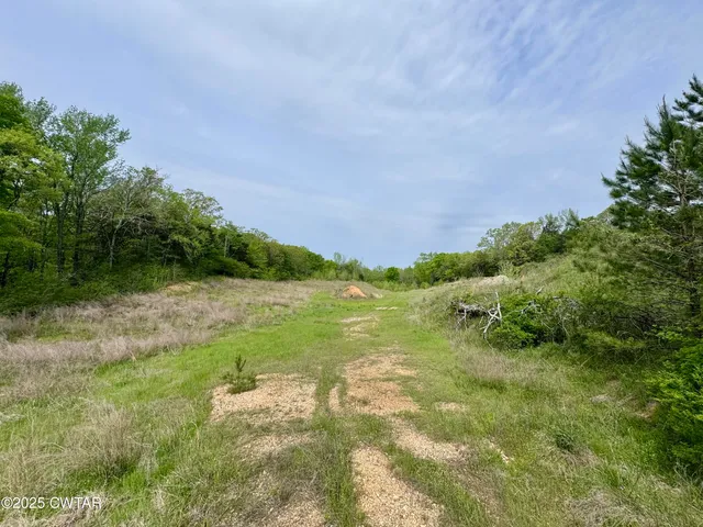 a view of a garden with a lake