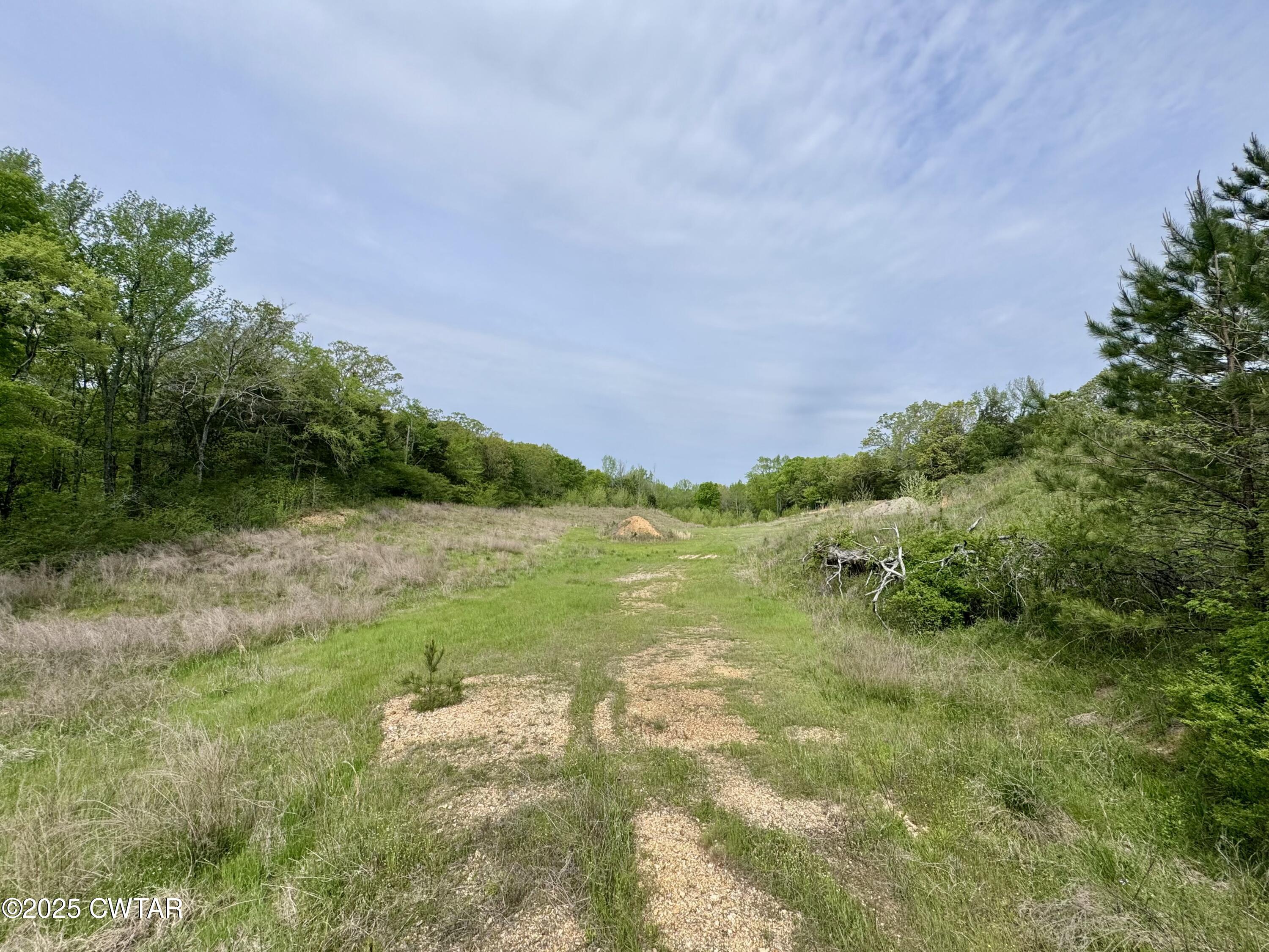 0 Pickwick Road Savannah, TN 38372 - Photo 5 of 15 a view of a garden with a lake
